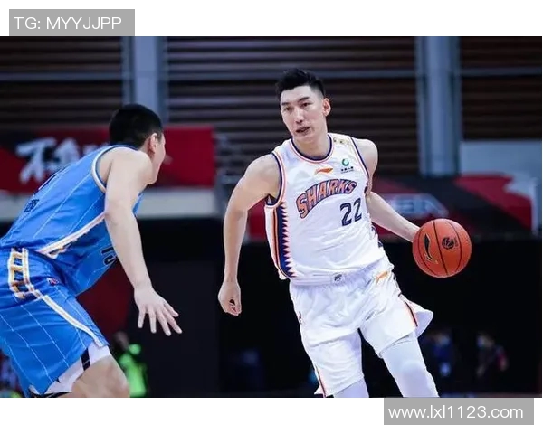 深圳篮球队强势领跑锦标赛积分榜以74分领先群雄