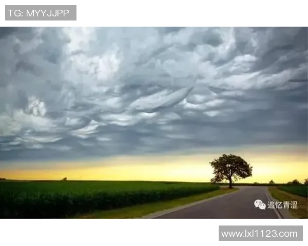 李芳专访：从青涩球员到足球教练的成长之路与心路历程回顾